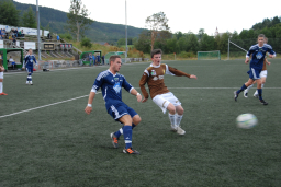 vvileidsvЖg2012 012